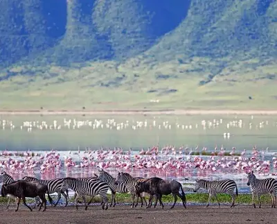 AmaWaterways River Cruise - Johannesburg to Arusha