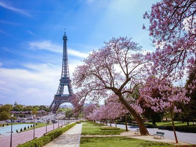 AmaWaterways River Cruise - Paris to Le Havre