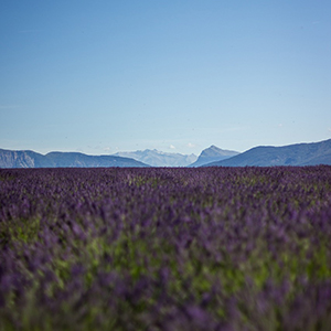 Avalon Waterways River Cruise - Paris to French Riviera