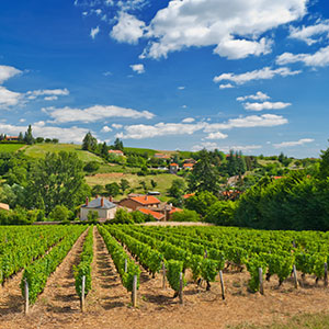 Avalon Waterways River Cruise - Lucerne to Bordeaux