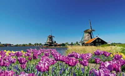 Uniworld Boutique River Cruises River Cruise - Amsterdam to Antwerp Uniworld Boutique River Cruises River Cruise - Amsterdam to Antwerp